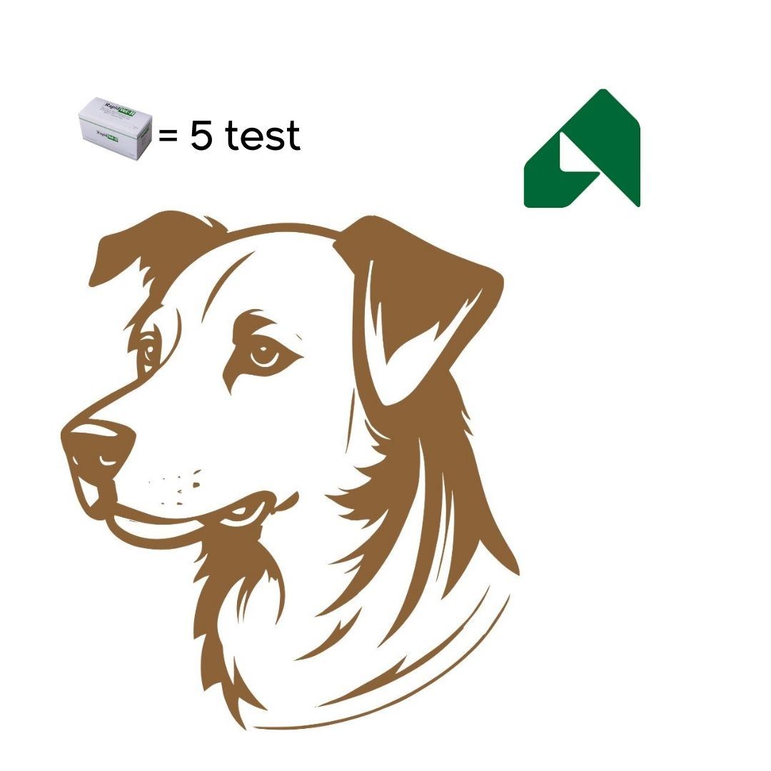 GRUPPO SANGUIGNO DEL CANE